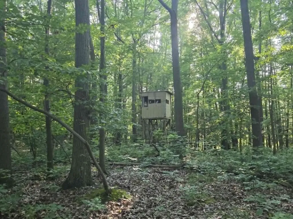 5777 Conrad Road Fremont Township MI 48744