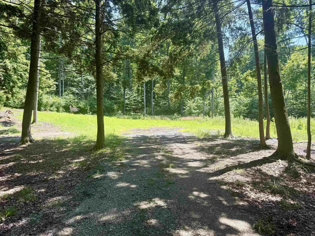 1364 E Maplewing Drive Cleveland Township MI 49621