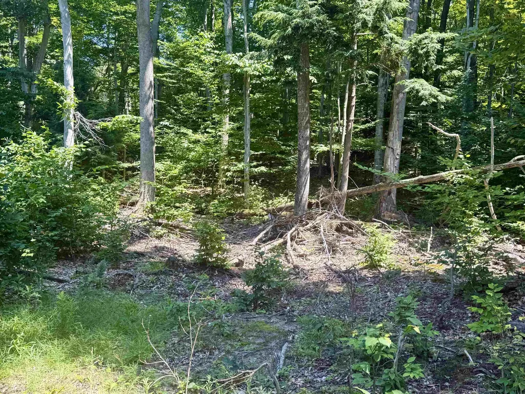 1364 E Maplewing Drive Cleveland Township MI 49621