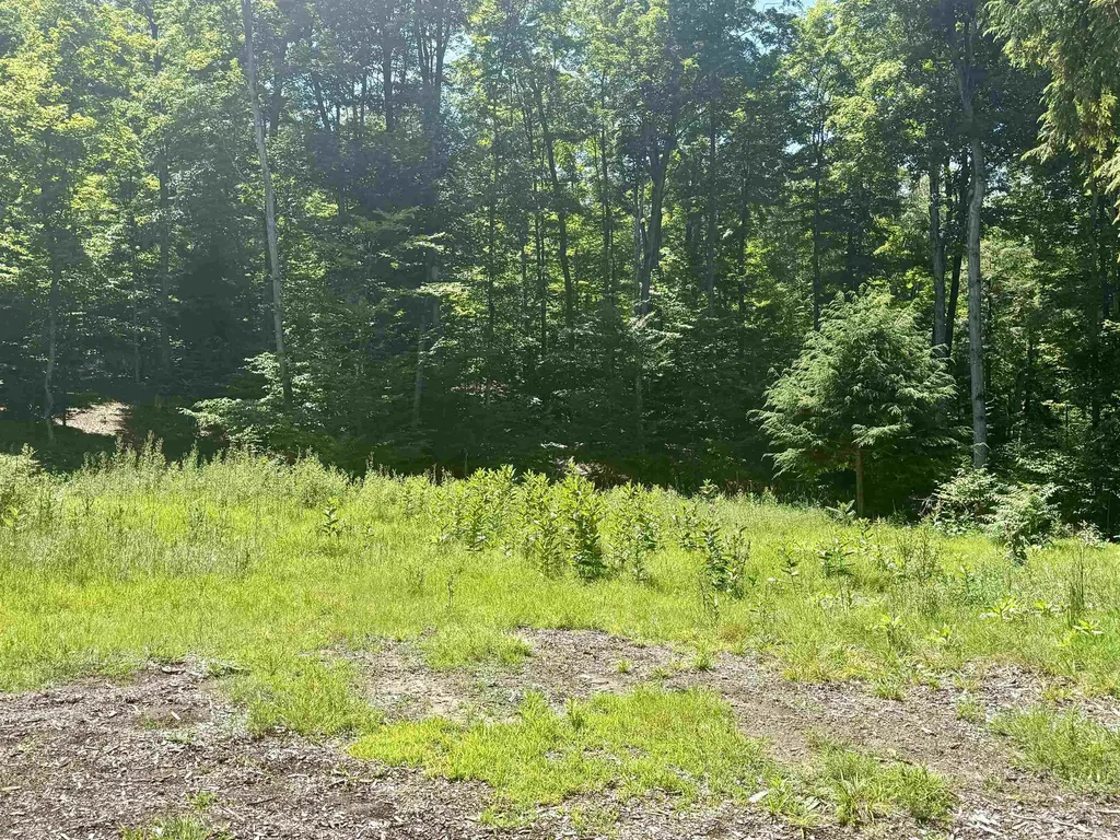 1364 E Maplewing Drive Cleveland Township MI 49621