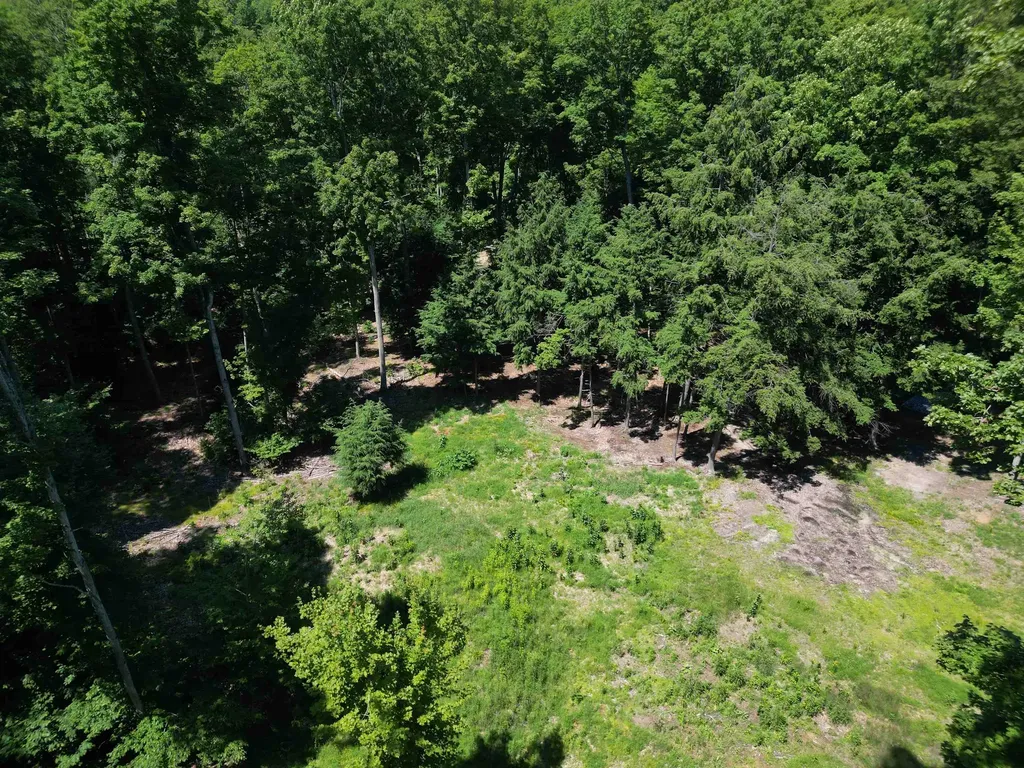 1364 E Maplewing Drive Cleveland Township MI 49621