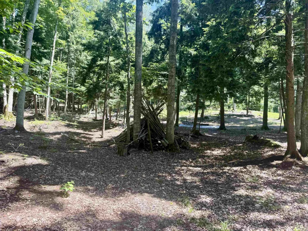 1364 E Maplewing Drive Cleveland Township MI 49621