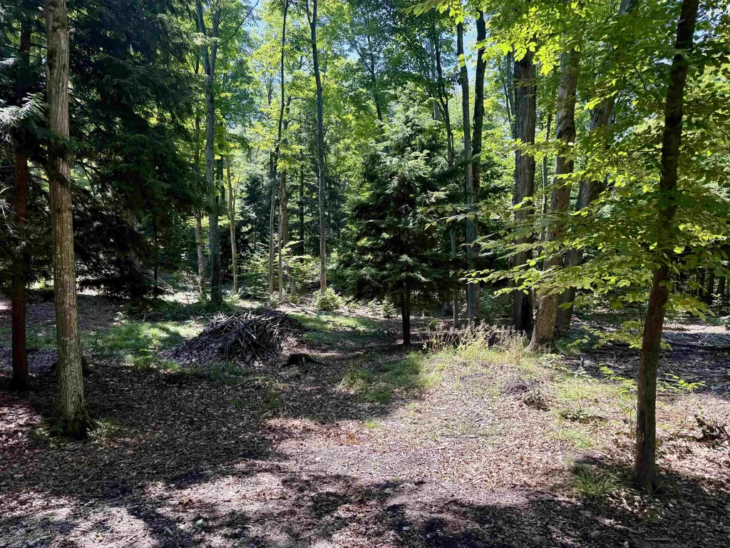 1364 E Maplewing Drive Cleveland Township MI 49621