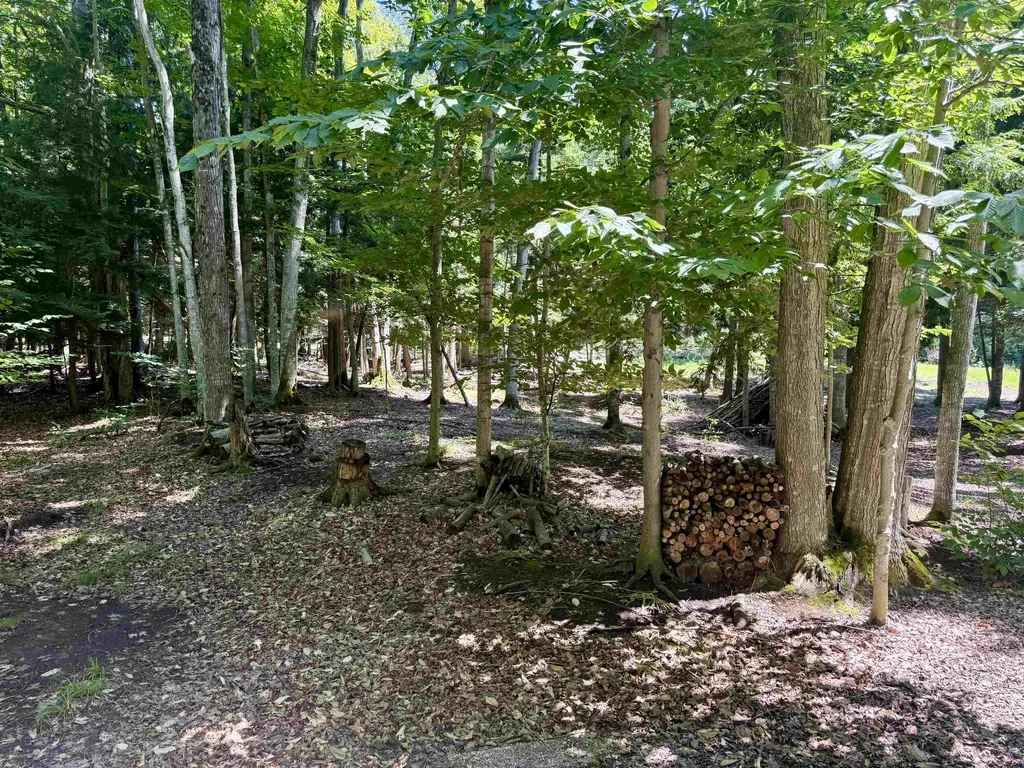 1364 E Maplewing Drive Cleveland Township MI 49621