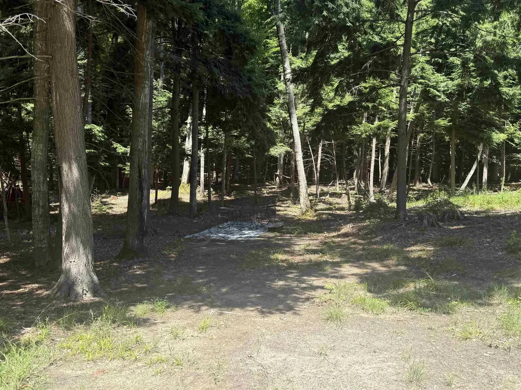1364 E Maplewing Drive Cleveland Township MI 49621