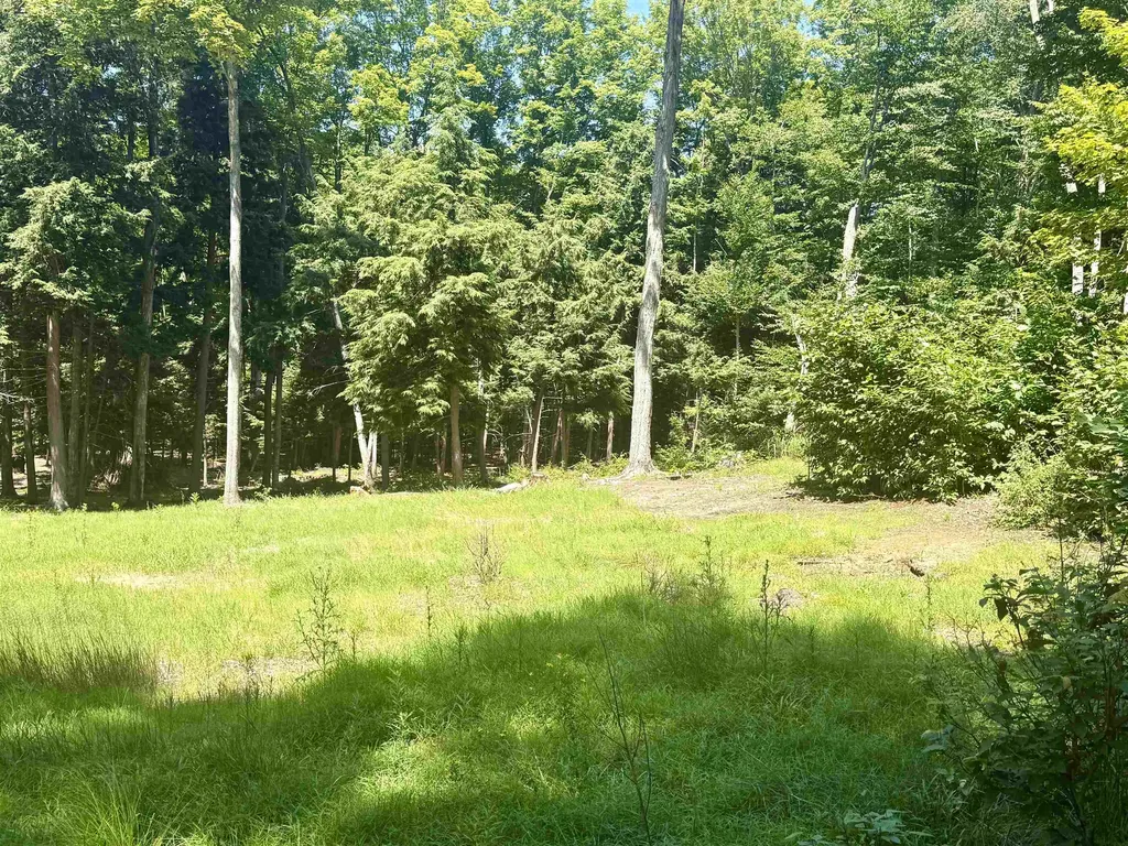 1364 E Maplewing Drive Cleveland Township MI 49621