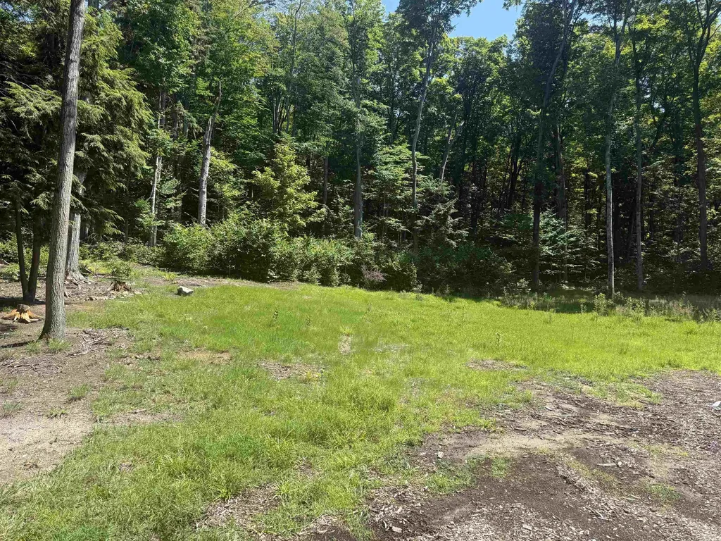 1364 E Maplewing Drive Cleveland Township MI 49621