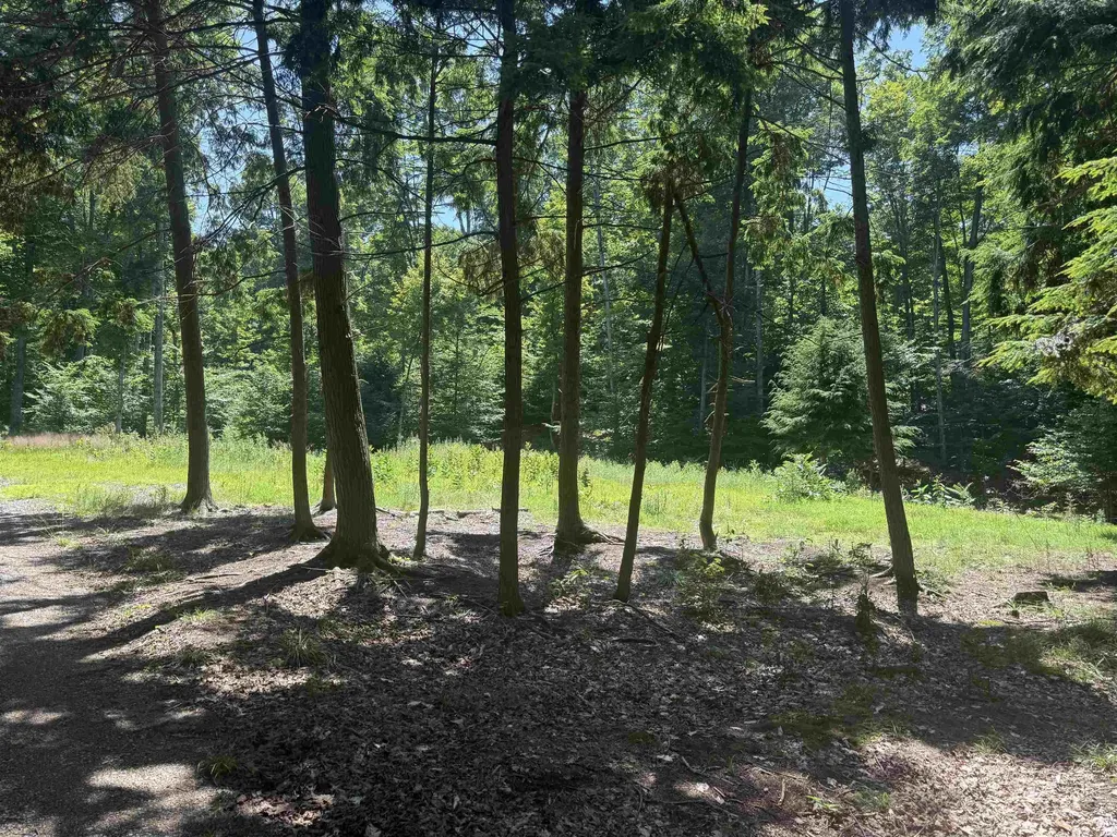 1364 E Maplewing Drive Cleveland Township MI 49621
