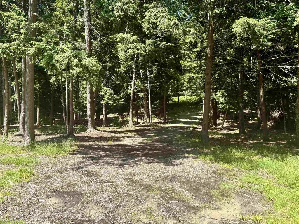 1364 E Maplewing Drive Cleveland Township MI 49621