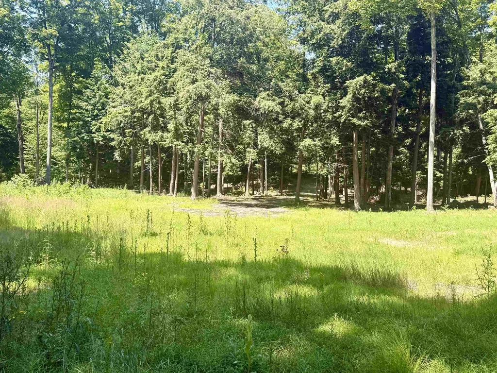 1364 E Maplewing Drive Cleveland Township MI 49621