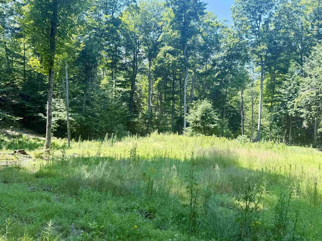 1364 E Maplewing Drive Cleveland Township MI 49621