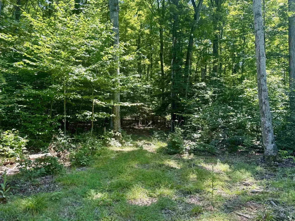 1364 E Maplewing Drive Cleveland Township MI 49621