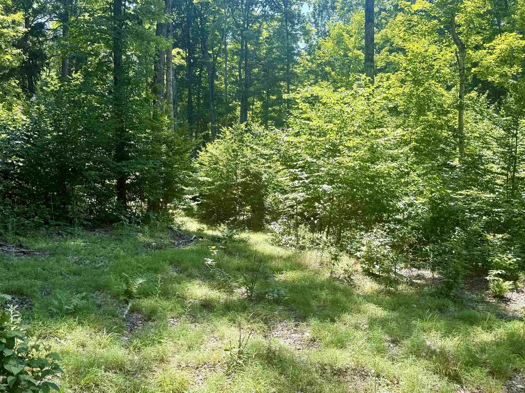 1364 E Maplewing Drive Cleveland Township MI 49621
