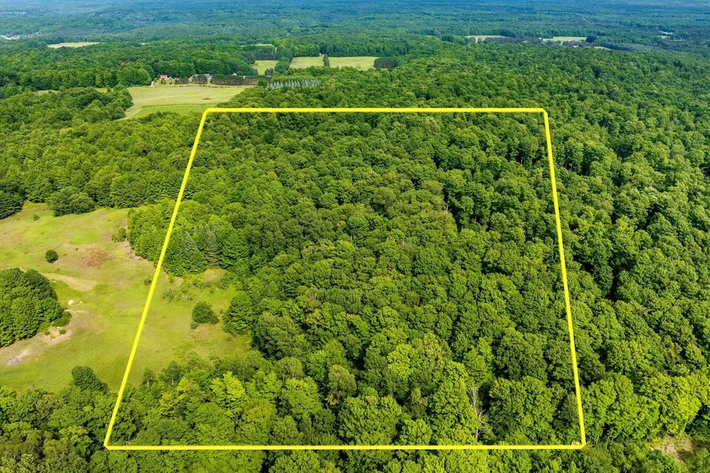 000 Zimmerman Road Homestead Township MI 49617