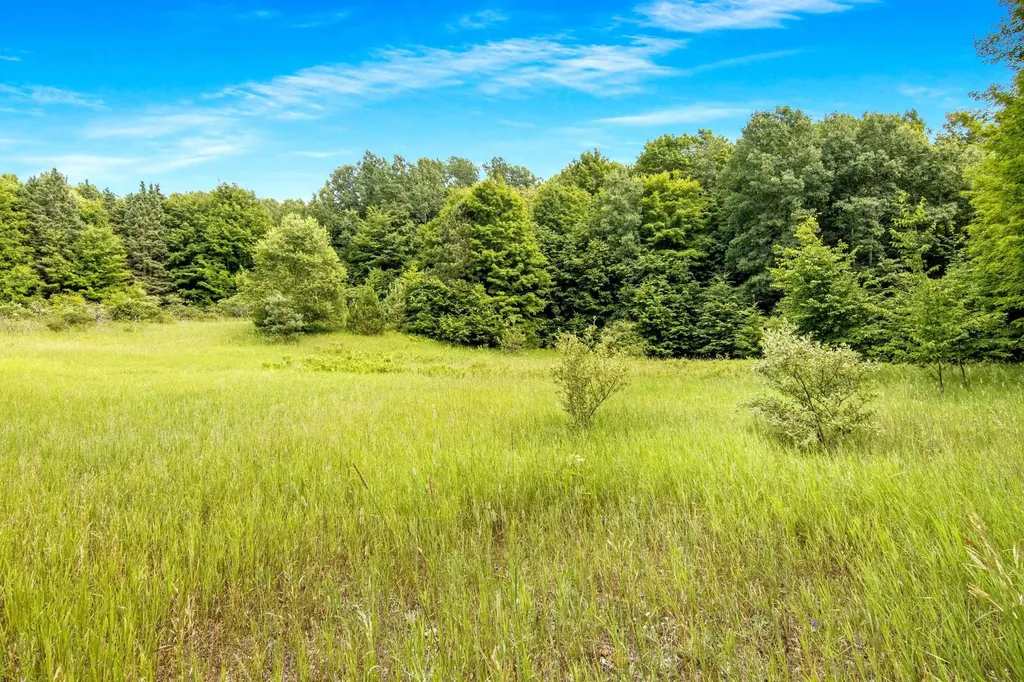 000 Zimmerman Road Homestead Township MI 49617
