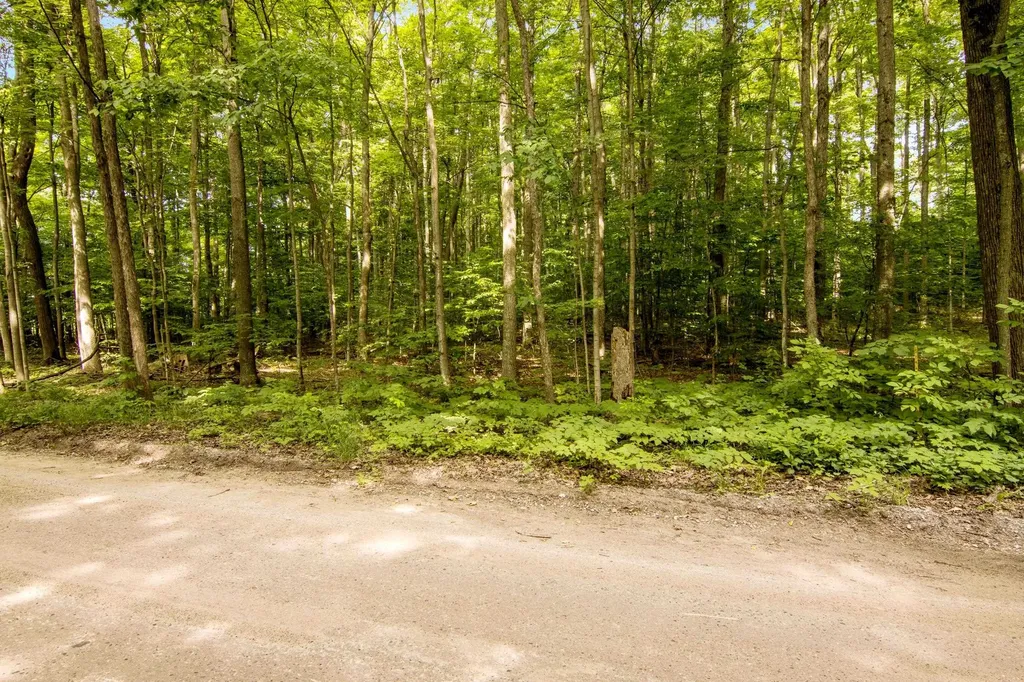 000 Zimmerman Road Homestead Township MI 49617