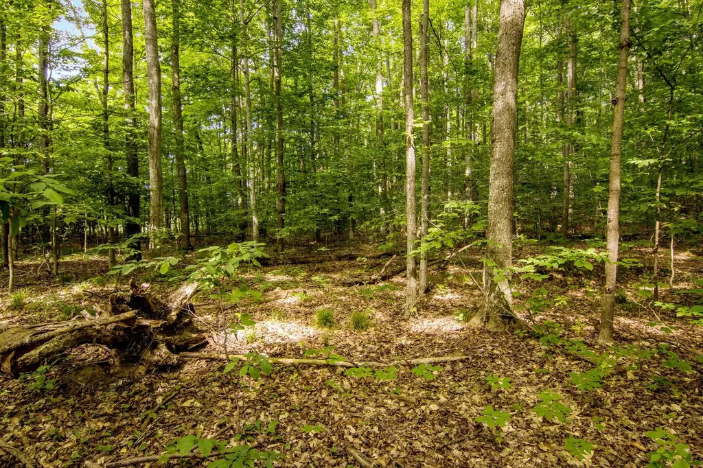 000 Zimmerman Road Homestead Township MI 49617