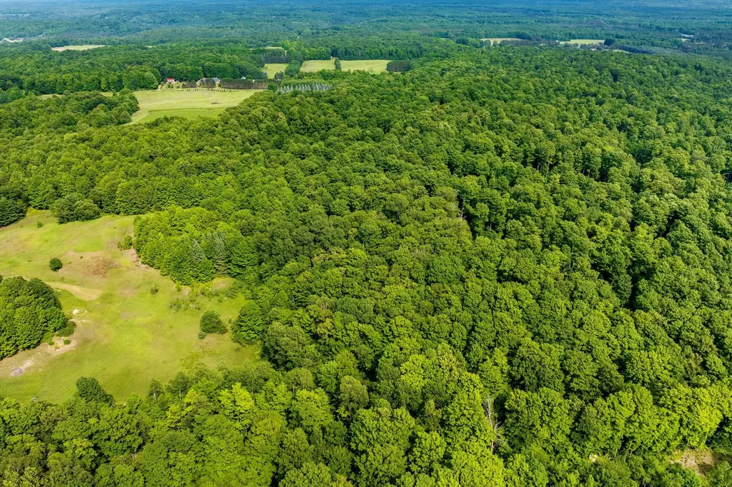 000 Zimmerman Road Homestead Township MI 49617