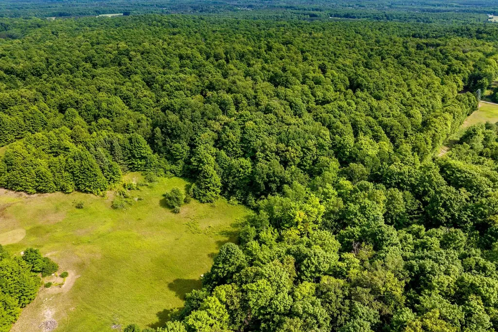 000 Zimmerman Road Homestead Township MI 49617