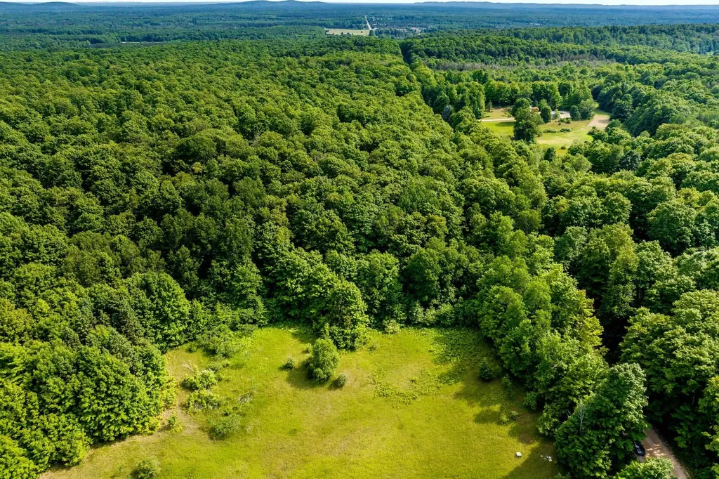 000 Zimmerman Road Homestead Township MI 49617