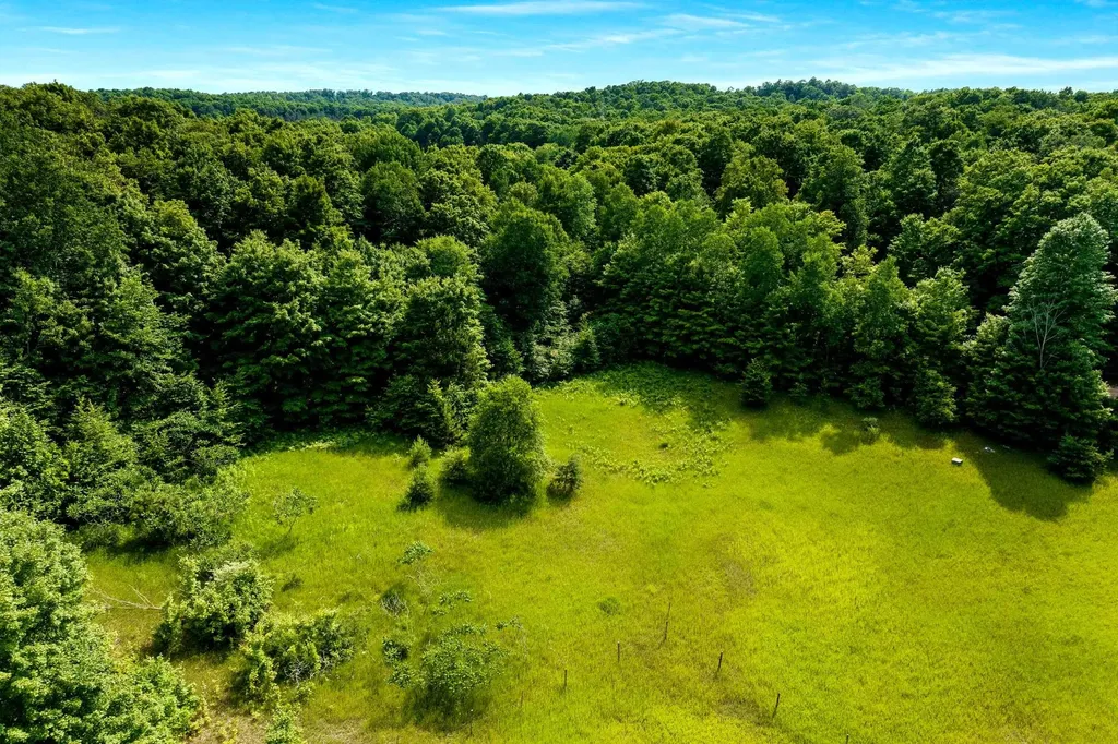 000 Zimmerman Road Homestead Township MI 49617