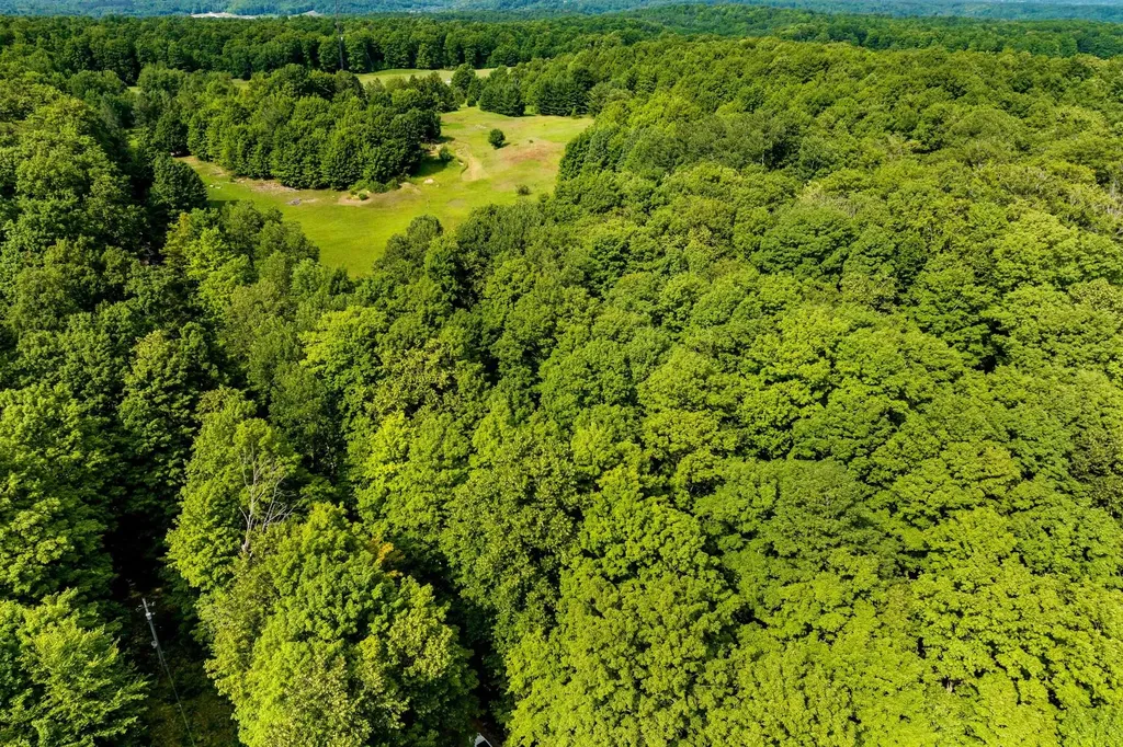 000 Zimmerman Road Homestead Township MI 49617