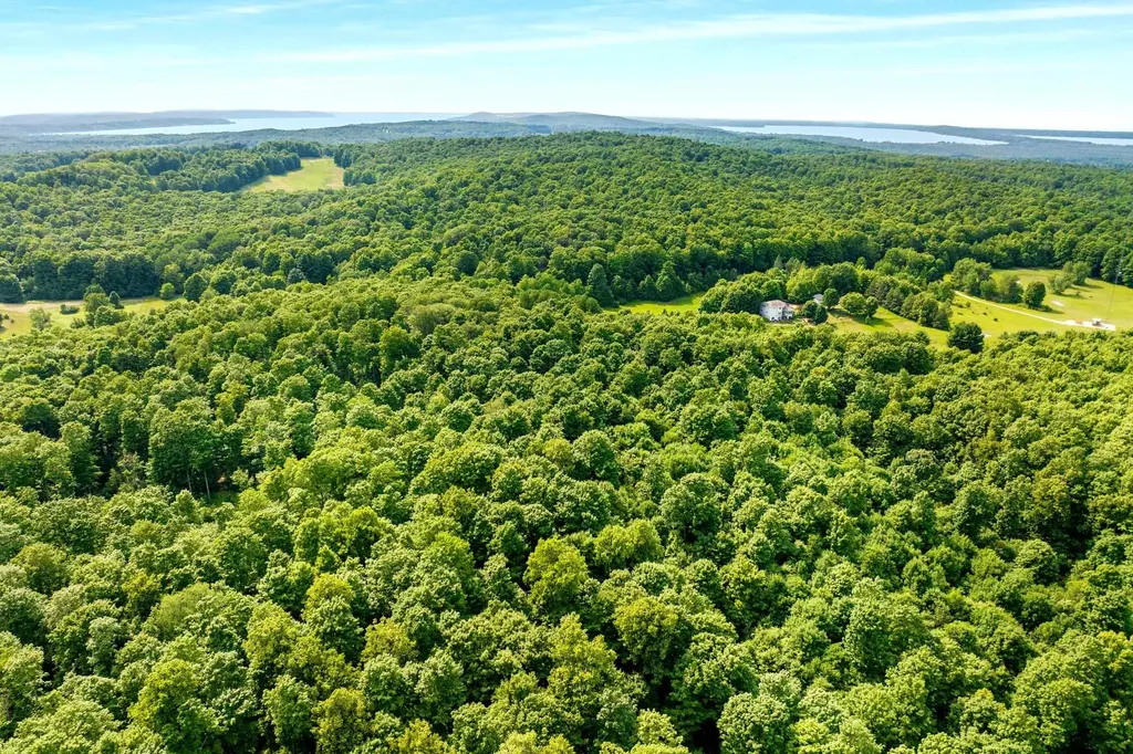 000 Zimmerman Road Homestead Township MI 49617