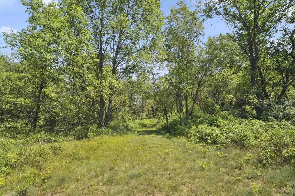 6838 Williams Trail Beaver Creek Township MI 49738