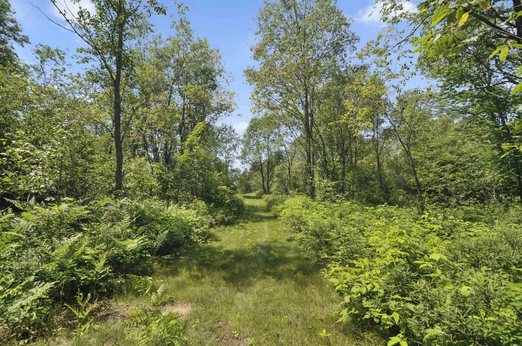 6838 Williams Trail Beaver Creek Township MI 49738