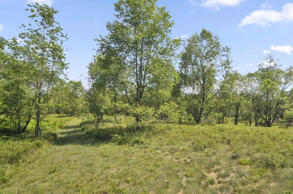 6838 Williams Trail Beaver Creek Township MI 49738