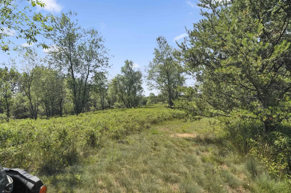6838 Williams Trail Beaver Creek Township MI 49738
