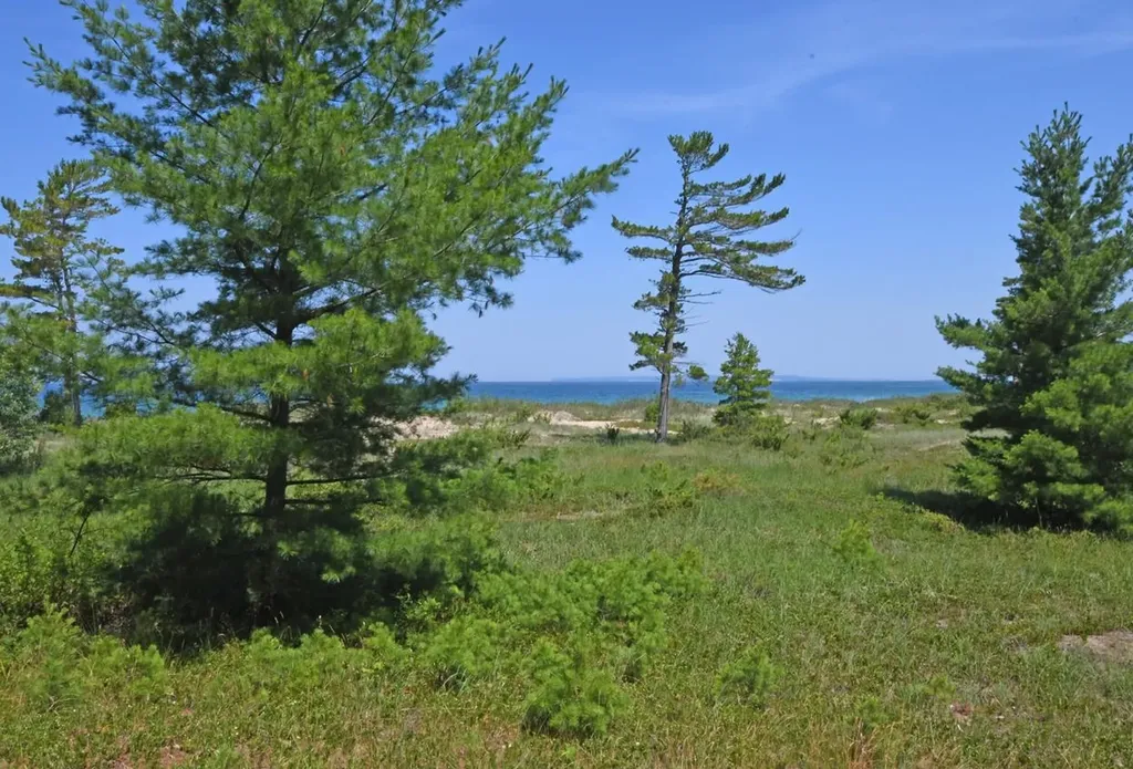 23 South Beach Glen Arbor Township MI 49636