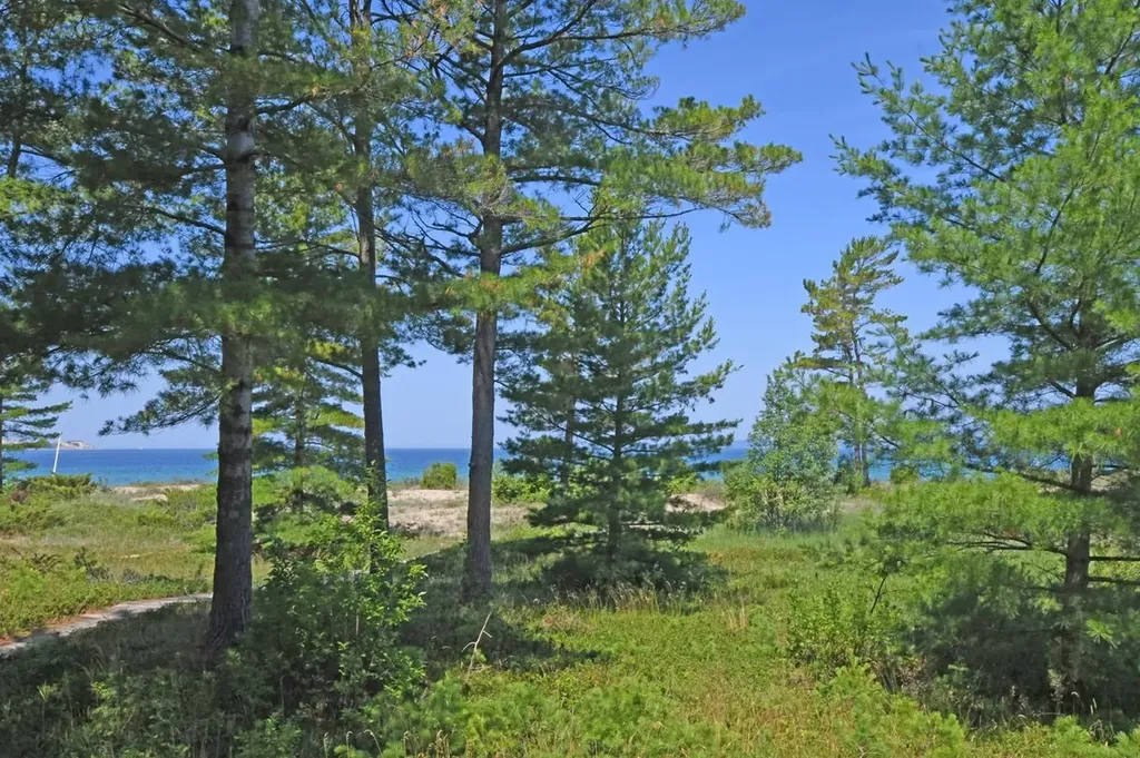 23 South Beach Glen Arbor Township MI 49636