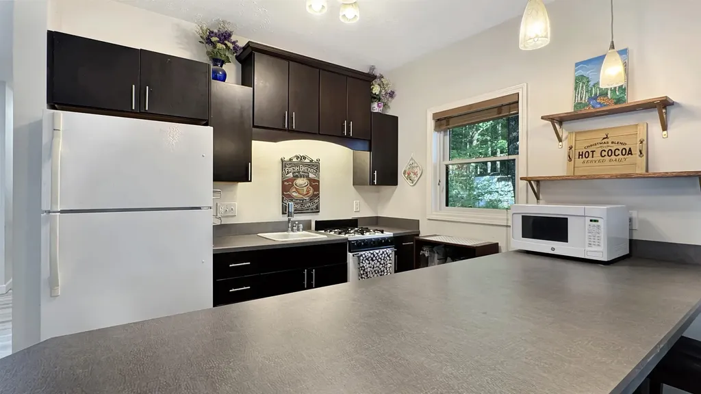 2599 Pleasant Lake Shore Drive Selma Township MI 49601