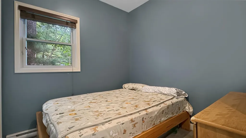 2599 Pleasant Lake Shore Drive Selma Township MI 49601