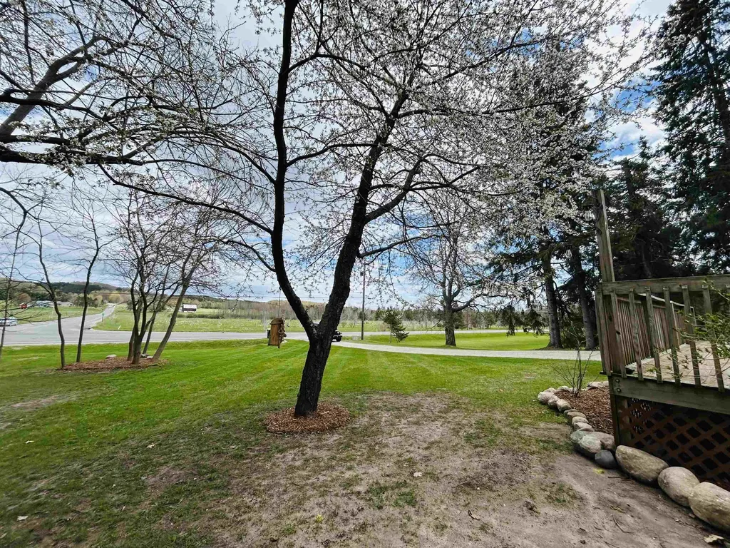8408 S Schomberg Road Solon Township MI 49621