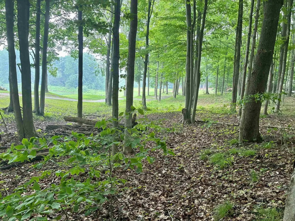 V/l 8 Forest Trail Custer Township MI 49615