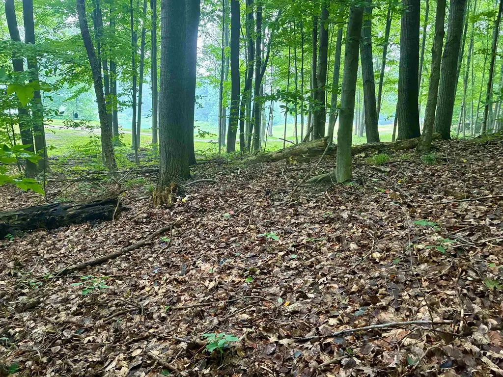 V/l 8 Forest Trail Custer Township MI 49615
