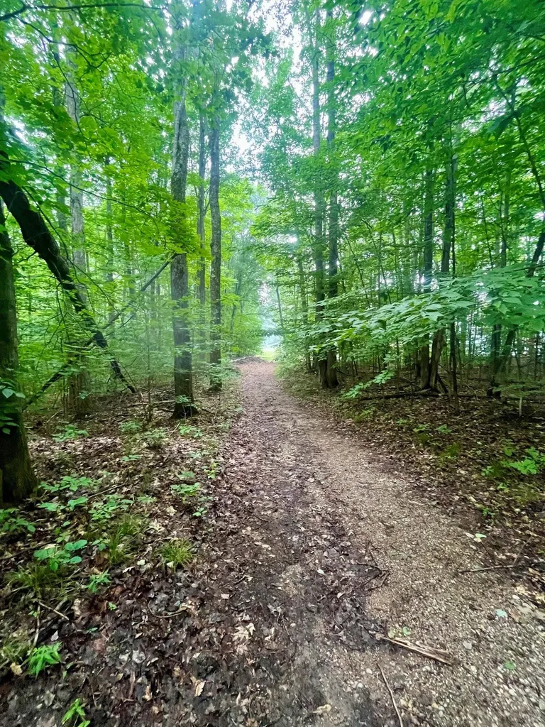 V/l 8 Forest Trail Custer Township MI 49615