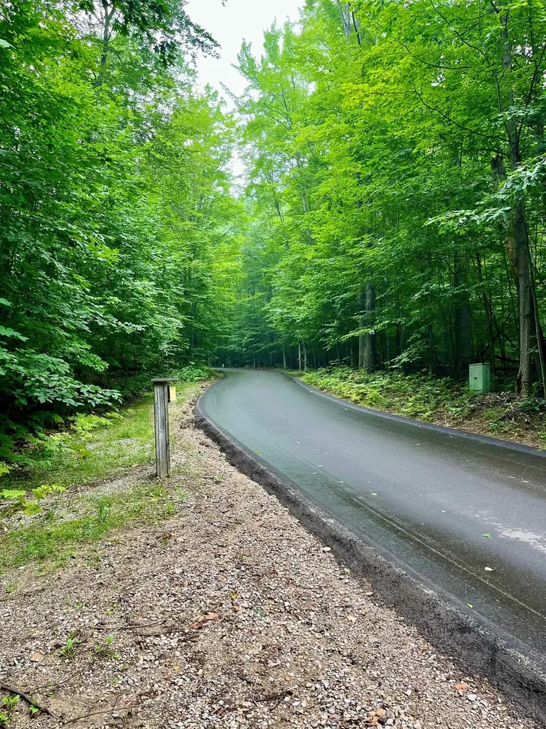 V/l 8 Forest Trail Custer Township MI 49615
