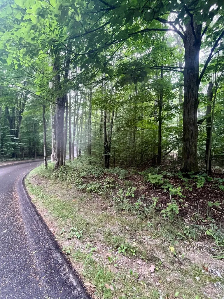 V/l 8 Forest Trail Custer Township MI 49615