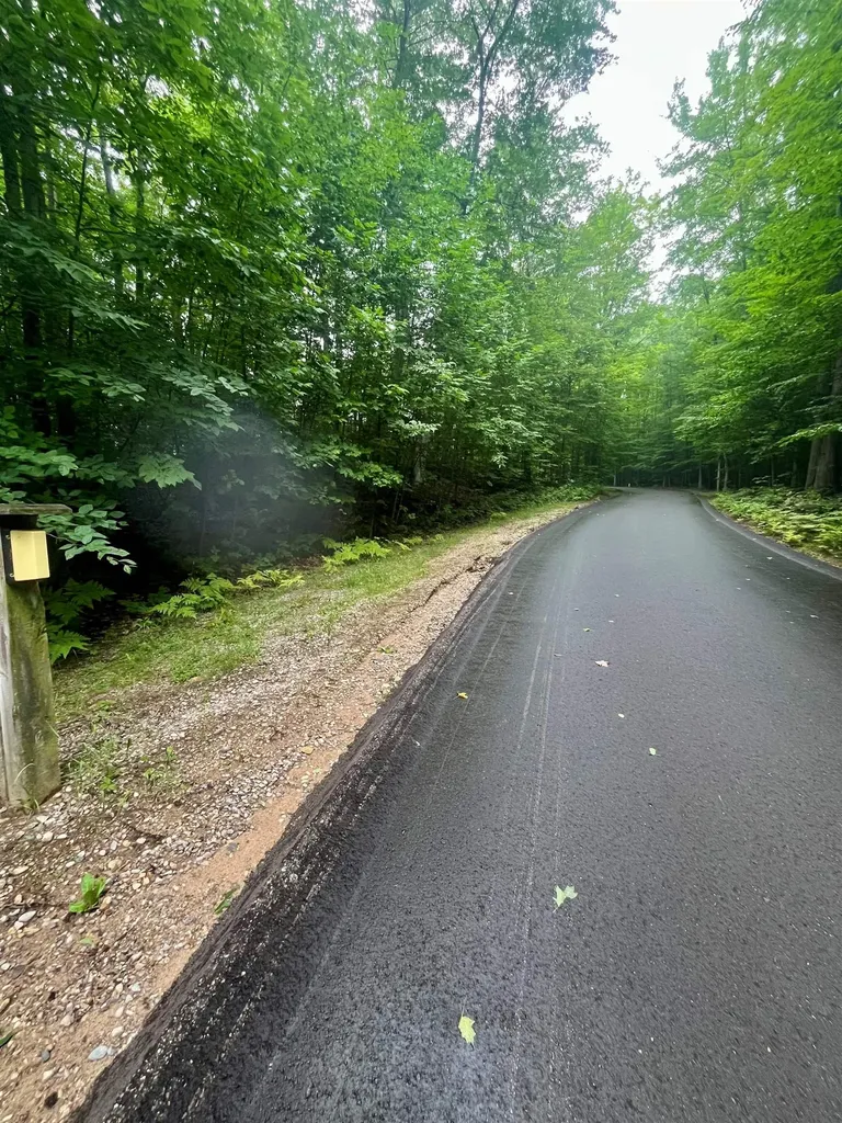 V/l 8 Forest Trail Custer Township MI 49615