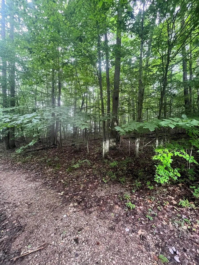 V/l 8 Forest Trail Custer Township MI 49615