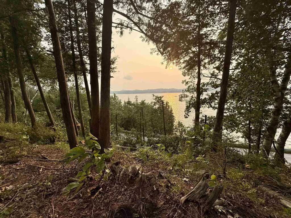 Lot 30 & 31 N Lake Leelanau Drive Leland Township MI 49653