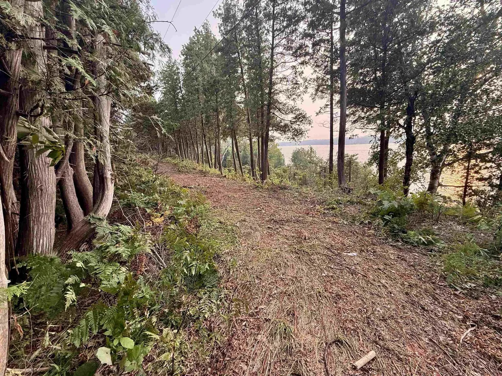 Lot 30 & 31 N Lake Leelanau Drive Leland Township MI 49653