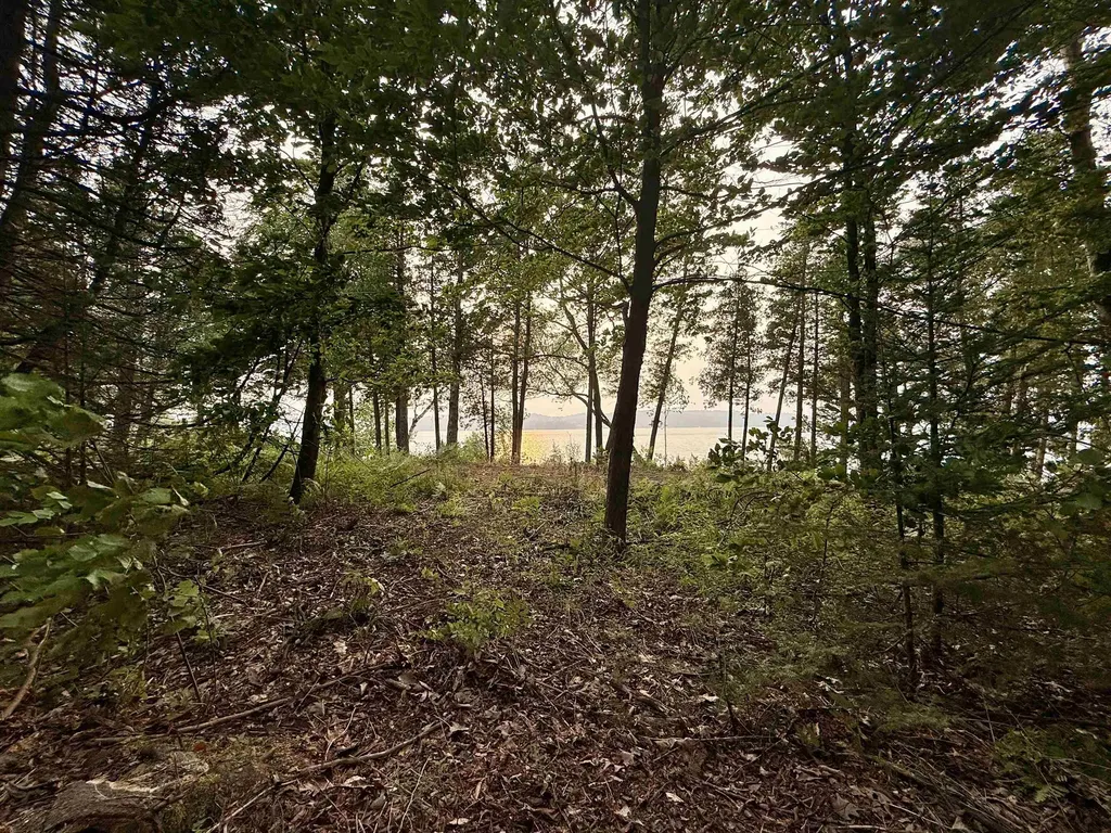Lot 28 & 29 N Lake Leelanau Drive Leland Township MI 49653