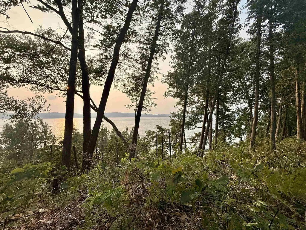 Lot 28 & 29 N Lake Leelanau Drive Leland Township MI 49653