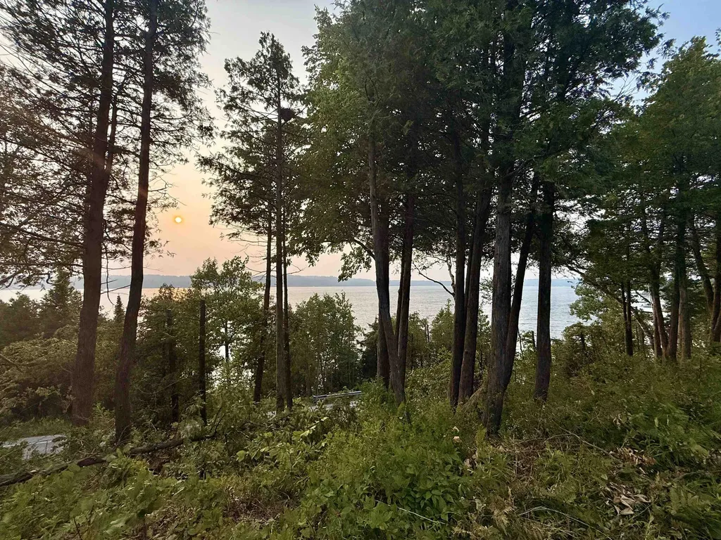 Lot 28 & 29 N Lake Leelanau Drive Leland Township MI 49653