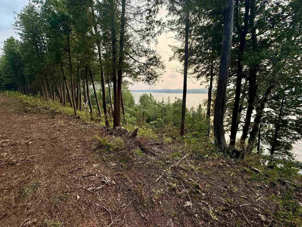 Lot 28 & 29 N Lake Leelanau Drive Leland Township MI 49653