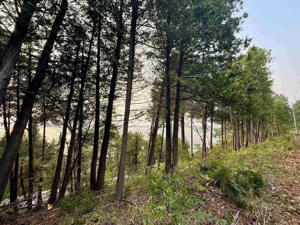 Lot 28 & 29 N Lake Leelanau Drive Leland Township MI 49653